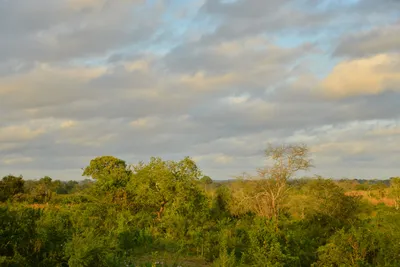 DSC_4331 (Large).JPG